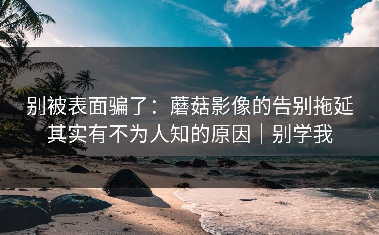 别被表面骗了：蘑菇影像的告别拖延其实有不为人知的原因｜别学我