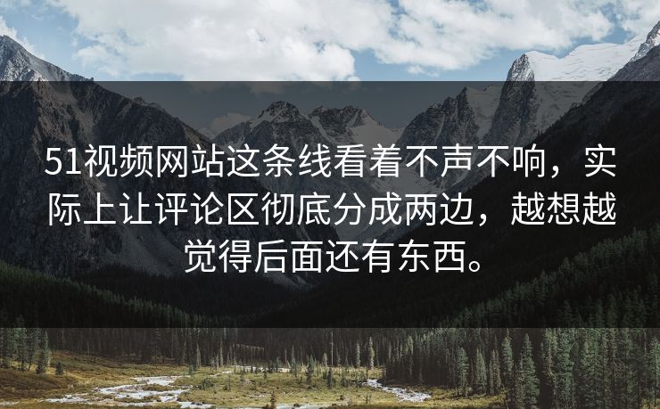51视频网站这条线看着不声不响，实际上让评论区彻底分成两边，越想越觉得后面还有东西。