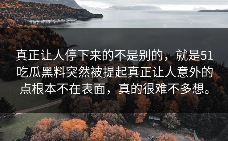 真正让人停下来的不是别的，就是51吃瓜黑料突然被提起真正让人意外的点根本不在表面，真的很难不多想。
